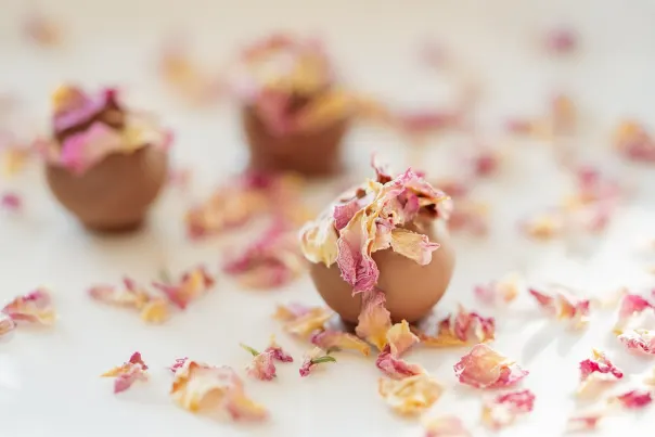 JokerBet Casino Aplicación Android/iOS